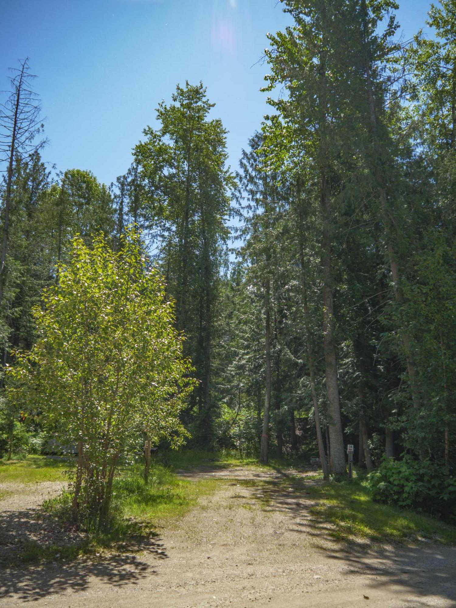 Noah'S Ark Campground Ревелсток Экстерьер фото