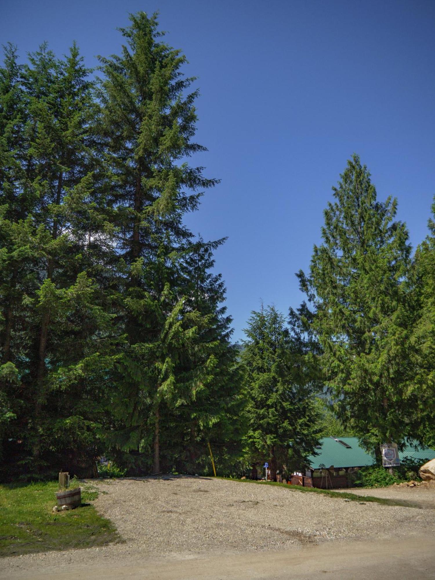 Noah'S Ark Campground Ревелсток Экстерьер фото